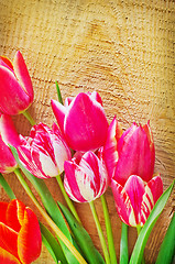 Image showing Tulips