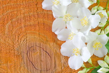 Image showing jasmin on wooden background