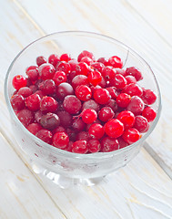 Image showing frozen cranberry