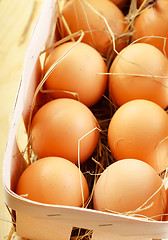 Image showing raw eggs