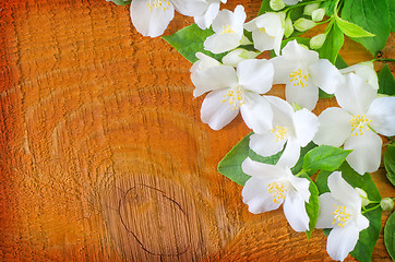 Image showing jasmine spring flowers frame on white background
