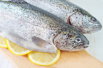 Image showing raw fish