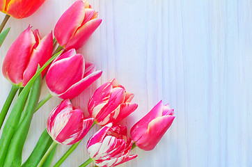 Image showing Tulips