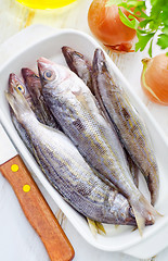 Image showing fresh fish