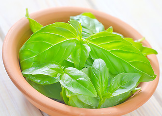 Image showing fresh basil