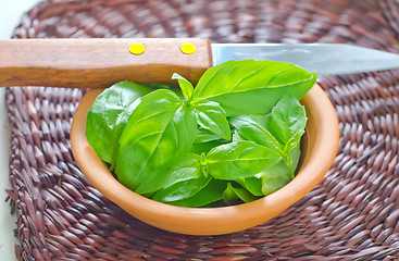 Image showing fresh basil