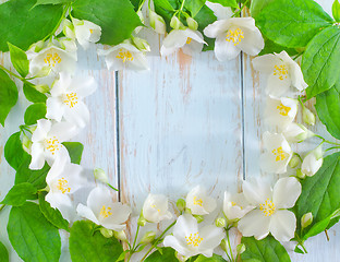 Image showing jasmine spring flowers frame on white background