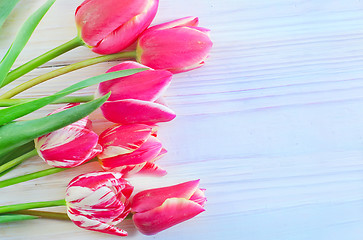 Image showing Tulips