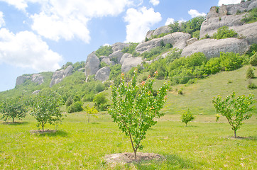 Image showing mountain in Crimea