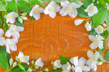 Image showing jasmine spring flowers frame on white background