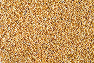 Image showing mustard