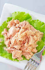 Image showing salad from tuna