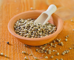 Image showing white pepper