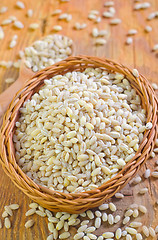 Image showing pearl barley