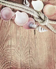 Image showing shells on wooden background