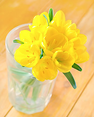 Image showing yellow flowers