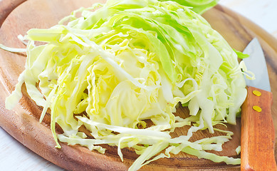 Image showing cabbage