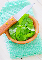 Image showing fresh basil