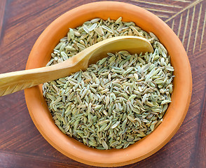 Image showing fennel