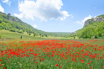 Image showing mountain in Crimea