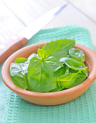 Image showing fresh basil