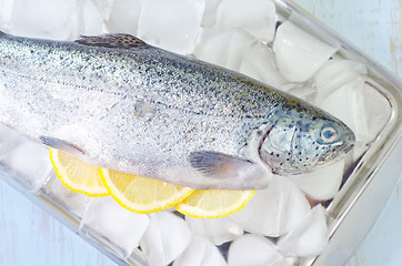 Image showing raw fish