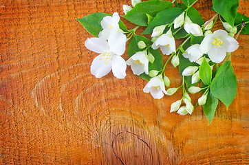 Image showing jasmin on wooden background