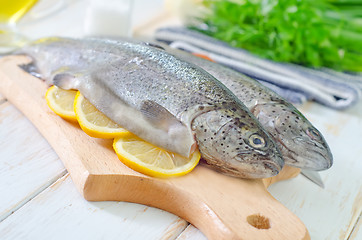 Image showing raw fish