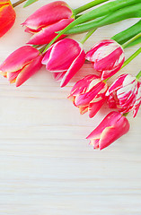 Image showing Tulips