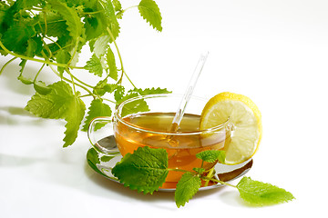 Image showing Herbal Tea with Lemon Balm Leaves