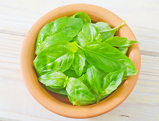 Image showing fresh basil