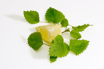 Image showing Lemon Balm Leaves with Lemon