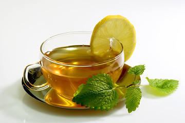 Image showing Lemon Balm Tea