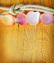 Image showing shells on wooden background