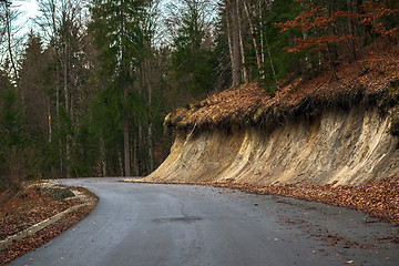 Image showing Road in autumn forest landscape