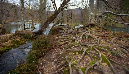 Image showing Fast mountain creek flowing