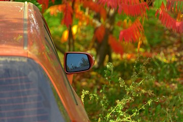 Image showing Car\'s windshield with autumnal leaves