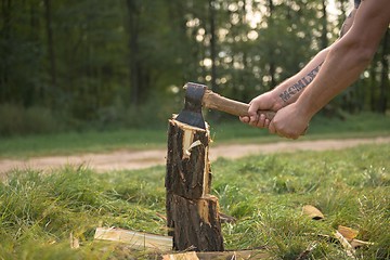 Image showing Firewood and old axe