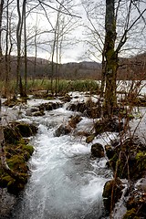 Image showing Fast mountain creek flowing