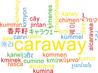 Image showing Caraway multilanguage wordcloud background concept