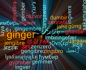 Image showing Ginger multilanguage wordcloud background concept glowing
