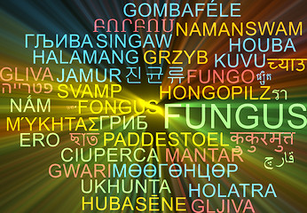 Image showing Fungus multilanguage wordcloud background concept glowing