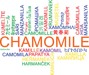 Image showing Chamomile multilanguage wordcloud background concept