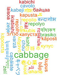 Image showing Cabbage multilanguage wordcloud background concept