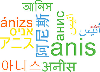 Image showing Anis multilanguage wordcloud background concept