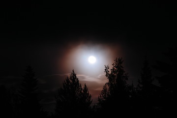 Image showing Full moon in forest at night