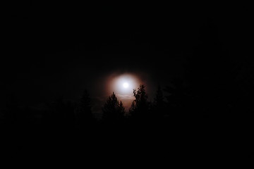 Image showing Full moon in forest at night