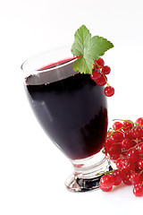 Image showing Currant Juice