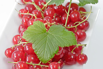 Image showing Red Currants on a Plate