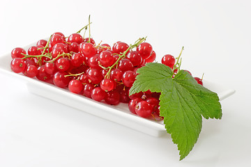 Image showing Red Currants with Leaf